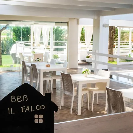 Il Falco קסטל דל מונטה